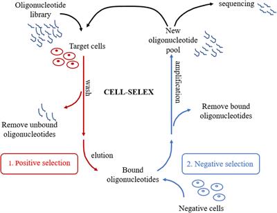 Advances in Aptamer-Based Biomarker Discovery